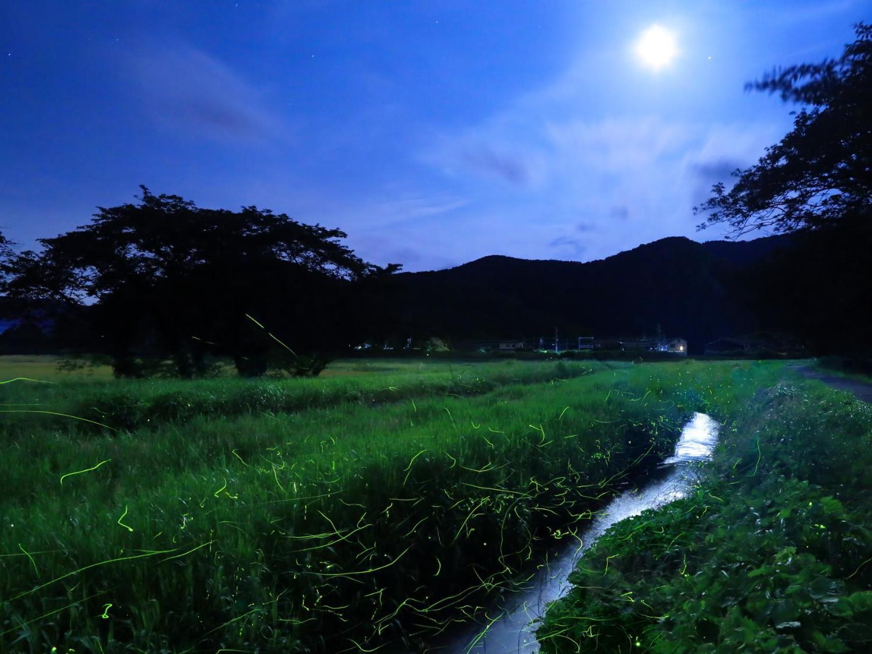 Kansyokan Mogami Bagian luar foto